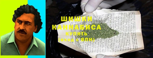 мет Дмитриев