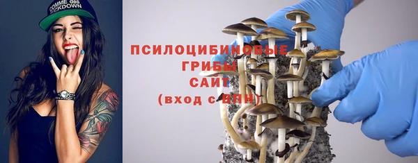 Альфа ПВП Дмитров