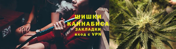 мет Дмитриев