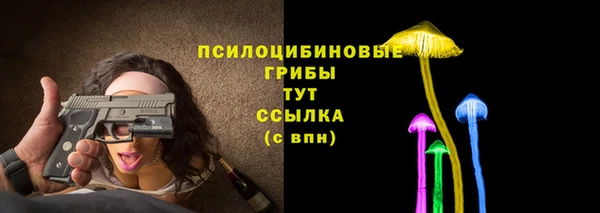 Альфа ПВП Дмитров