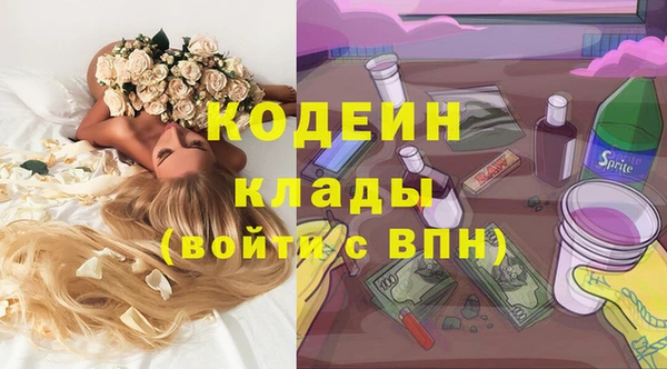 мет Дмитриев