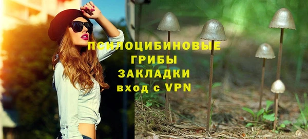 Альфа ПВП Дмитров