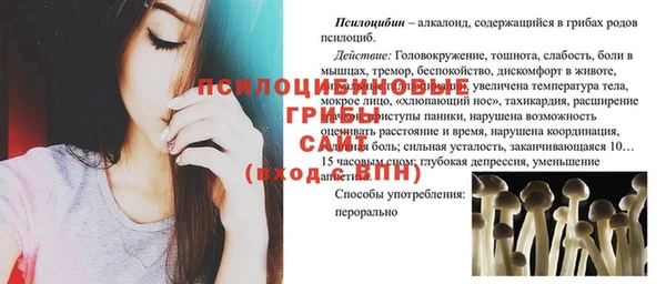 мет Дмитриев