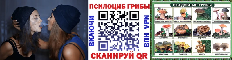 наркошоп  Котельники  Галлюциногенные грибы прущие грибы 